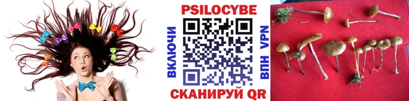 Галлюциногенные грибы мухоморы Чкаловск