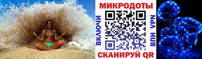 Псилоцибиновые грибы MAGIC MUSHROOMS  Купить  Чкаловск 
