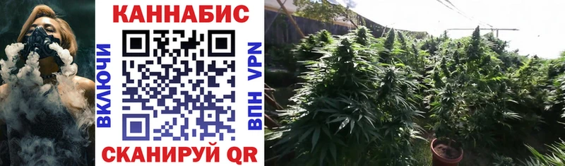 Канабис OG Kush  Купить  Чкаловск 